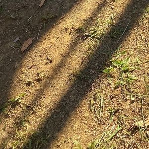 Meet your Posher, Jackson